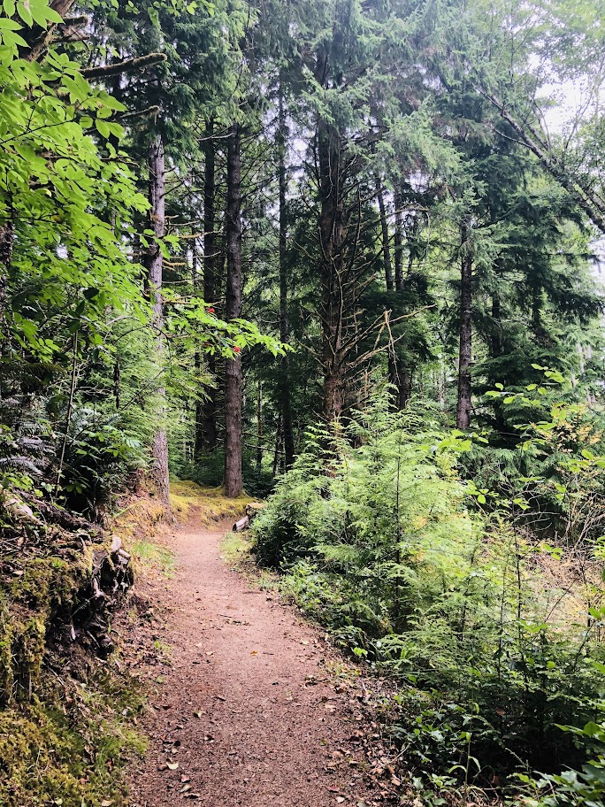 Hiking the Fort to Sea Trail on the Oregon Coast - Pine Coast Hiking