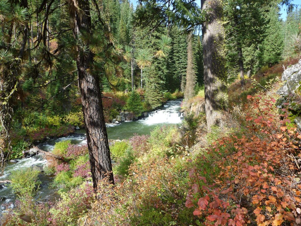 Best Hikes In Beautiful Payette National Forest, Idaho - Pine Coast Hiking