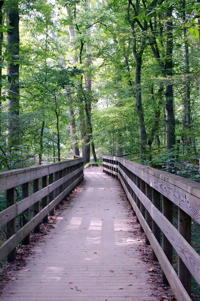 Best Hikes at Beautiful Mammoth Cave National Park - Pine Coast Hiking